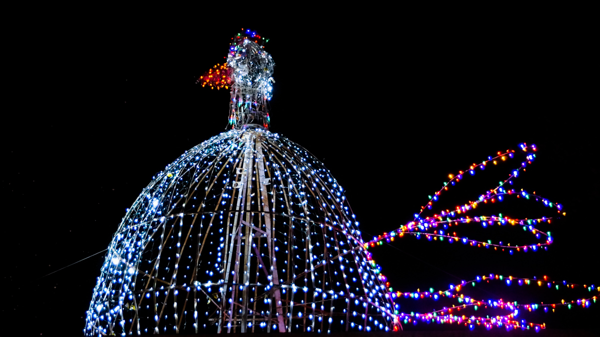 Gainesville Jingle Mingle