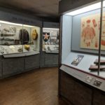 5 Georgia State Parks & Historic Sites to visit on Veterans Day