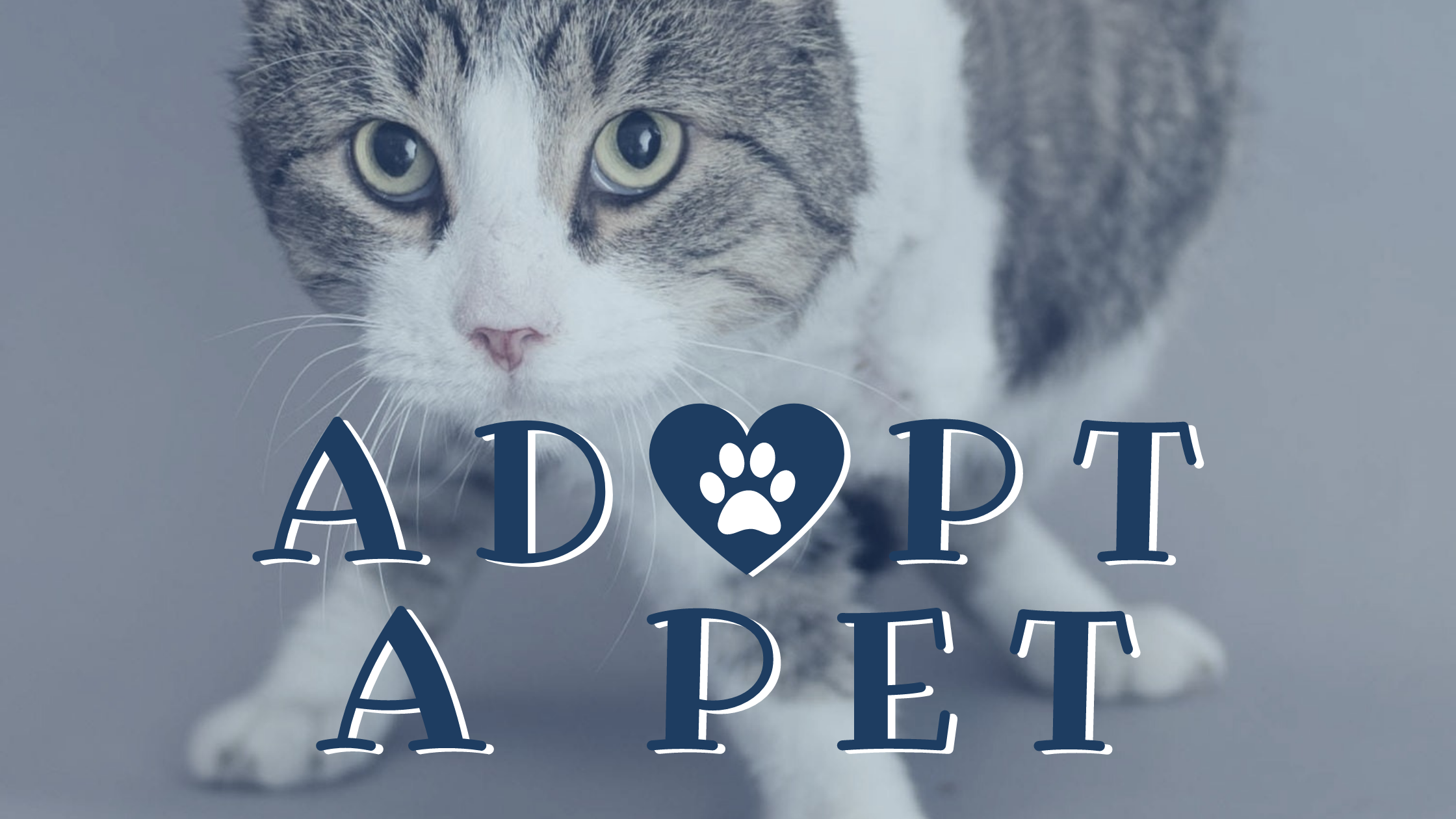 ADOPT-A-PET