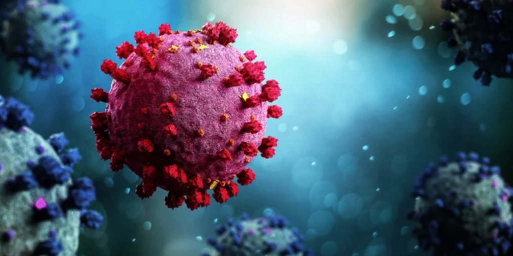 State and local COVID-19 numbers dropping off according to reports