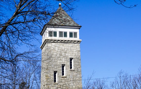FireTower cropped