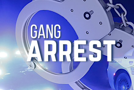 GANG arrest