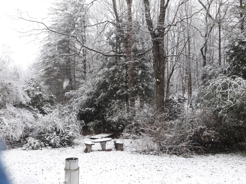 A history of January snow events in White County