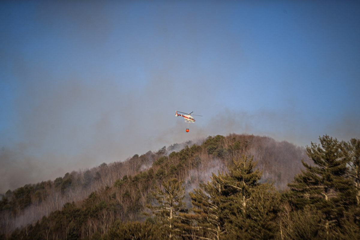 Unicoi Wildfire19