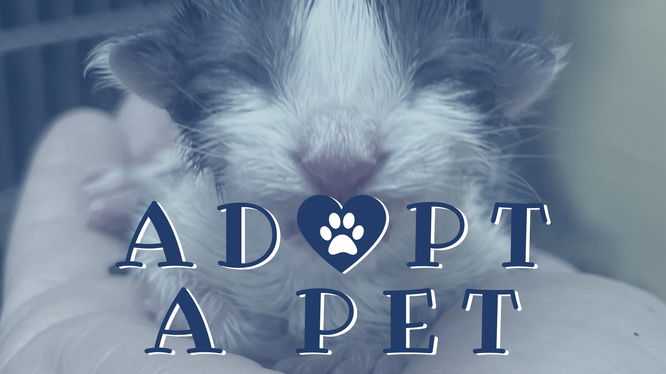 ADOPT-A-PET (1)