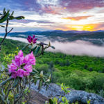 Roads Less Traveled: Into the Mystic