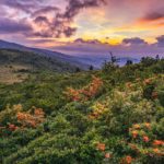 Roads Less Traveled: All things made new