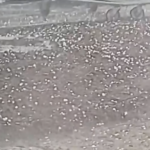 Hail storm hits Cleveland; Severe Thunderstorm Watch lifted for North Georgia