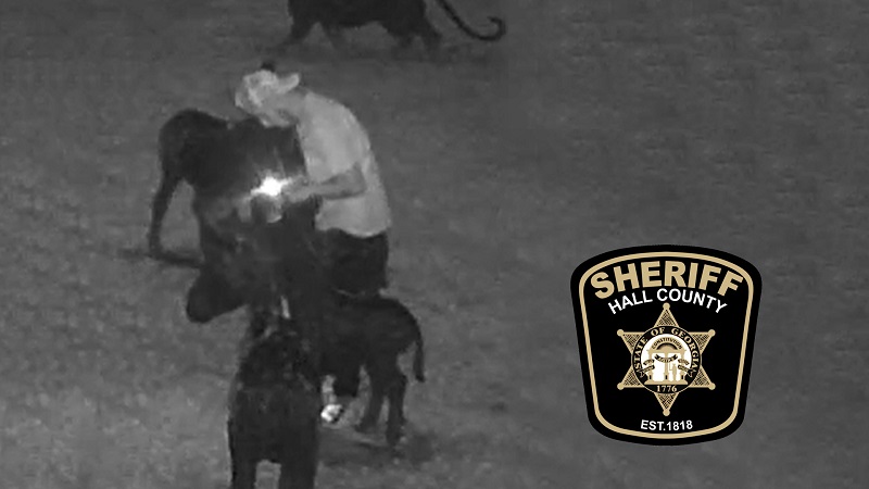 08292022 Statue thief