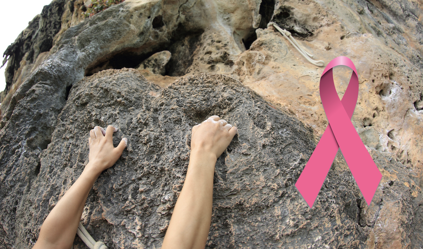 climb the rock mountain