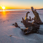 Roads Less Traveled: Work Travel