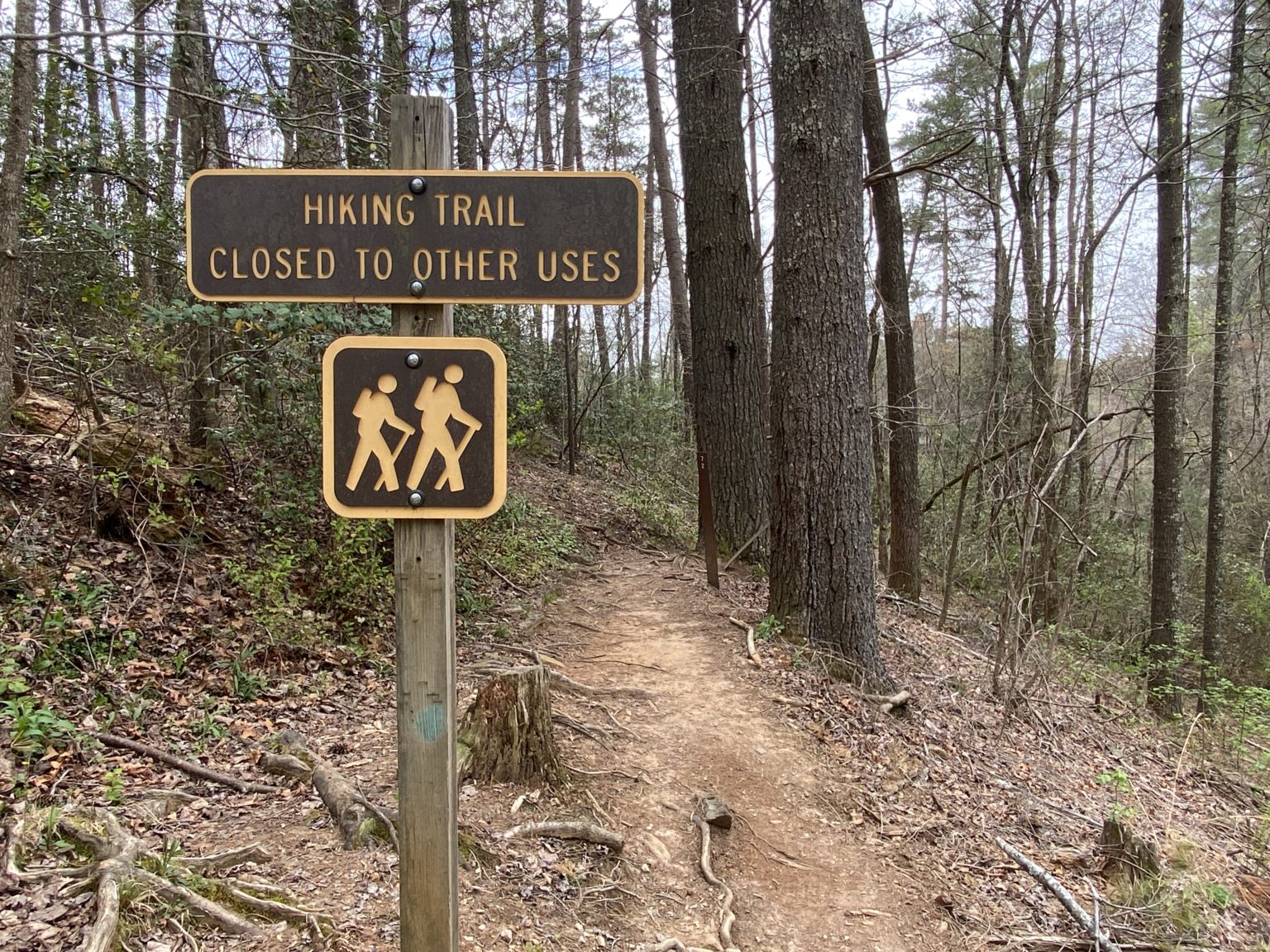 Panther Creek Trail