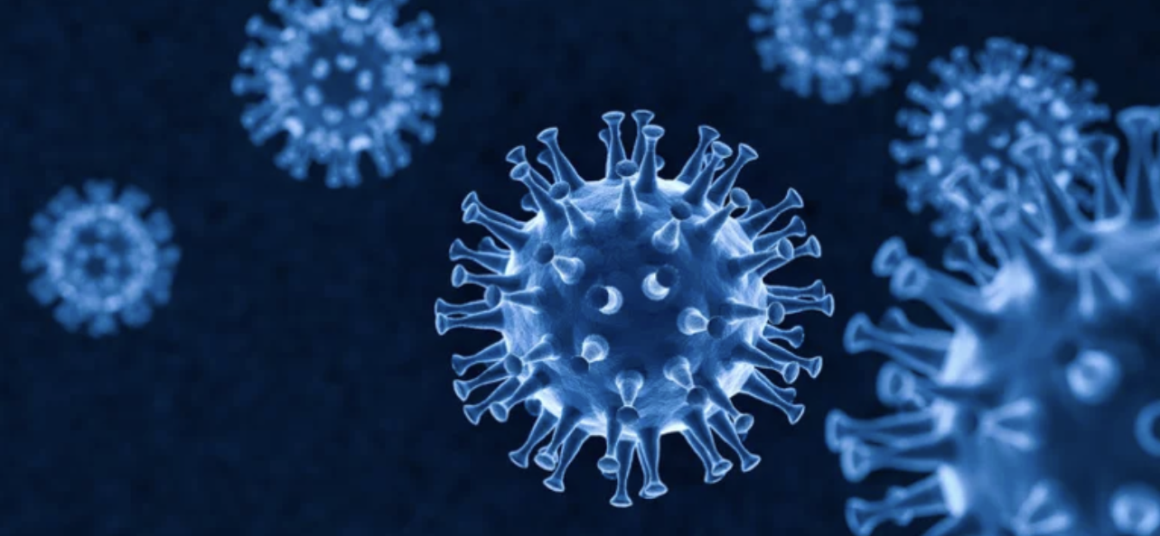 coronavirus