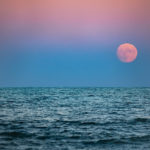 Our last Harvest Moon