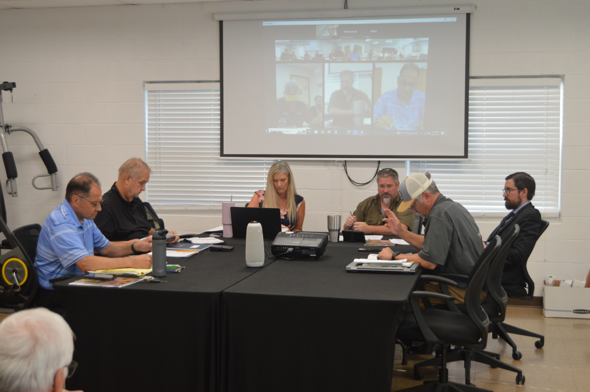 Tallulah Falls town council