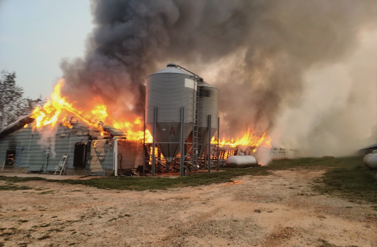 Lula chicken house fire