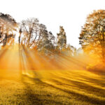 The years of September