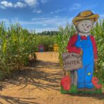 Dawson’s fall delights: Pumpkin patches, spooky stories, and moonshine