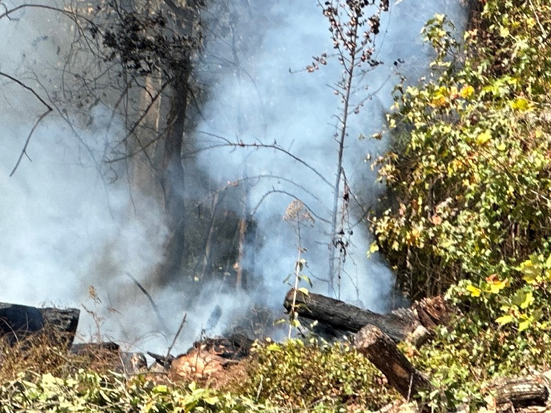 brush fire off Pea Ridge Road3