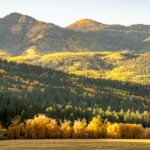 Go West, young man: the Great Divide