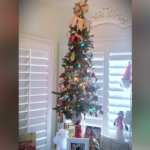 David’s Tree: The heart of Christmas