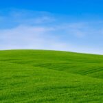 The green hills of heaven