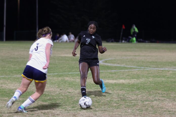 Lily Desta 2024 POFFENBERGER