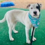 Zimba’s zest for life will add zing and affection to yours