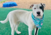 Zimba’s zest for life will add zing and affection to yours