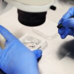 Trump looks to expand access to IVF through discount, employer coverage