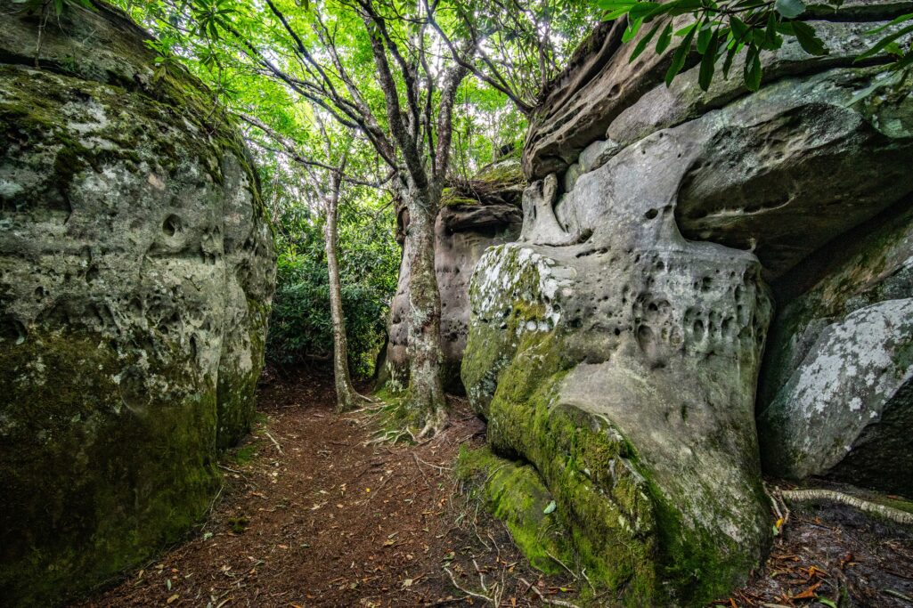 Roads Less Traveled: Changing channels