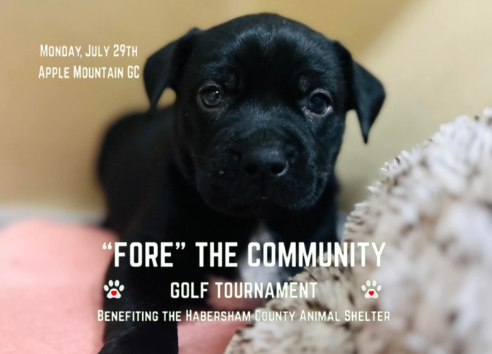 Fore The Community Golf Tournament