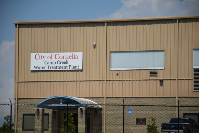 Cornelia water plant