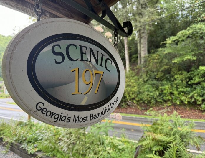 Scenic 197 sign