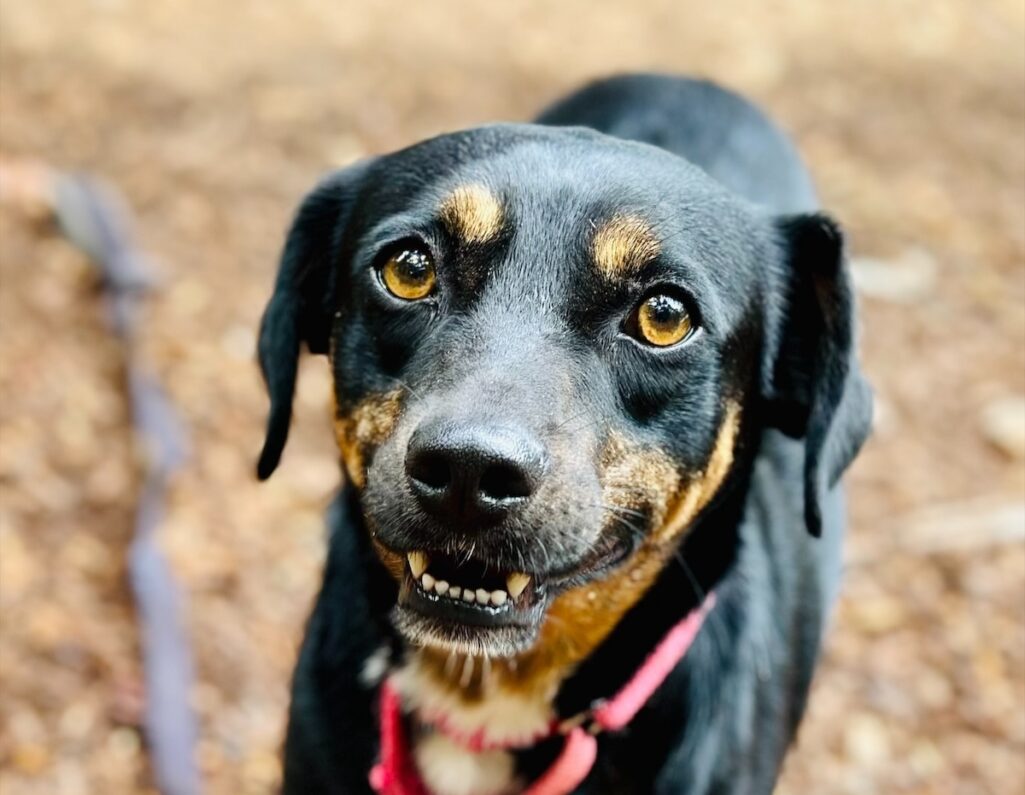 Steve: the quintessential ‘nice guy’