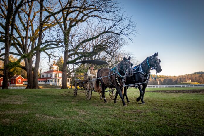 Hardman Farm Christmas Horse Drawn Wagon Rides smaller