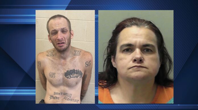 Towns County arrests