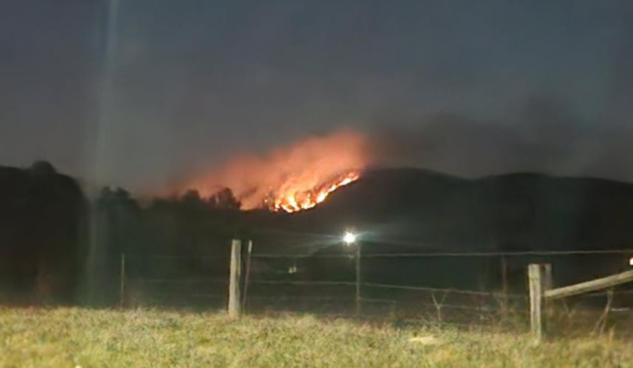 Chestnut mountain wildfire