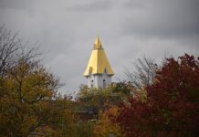 Some Georgia college application fees waived through November