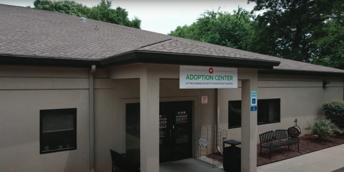 Humane Society of Northeast Georgia