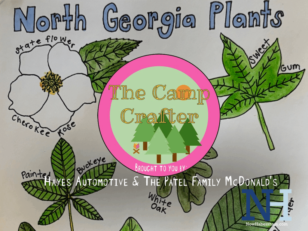 Camp Crafter: Leaf Printing