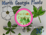 Camp Crafter: Leaf Printing