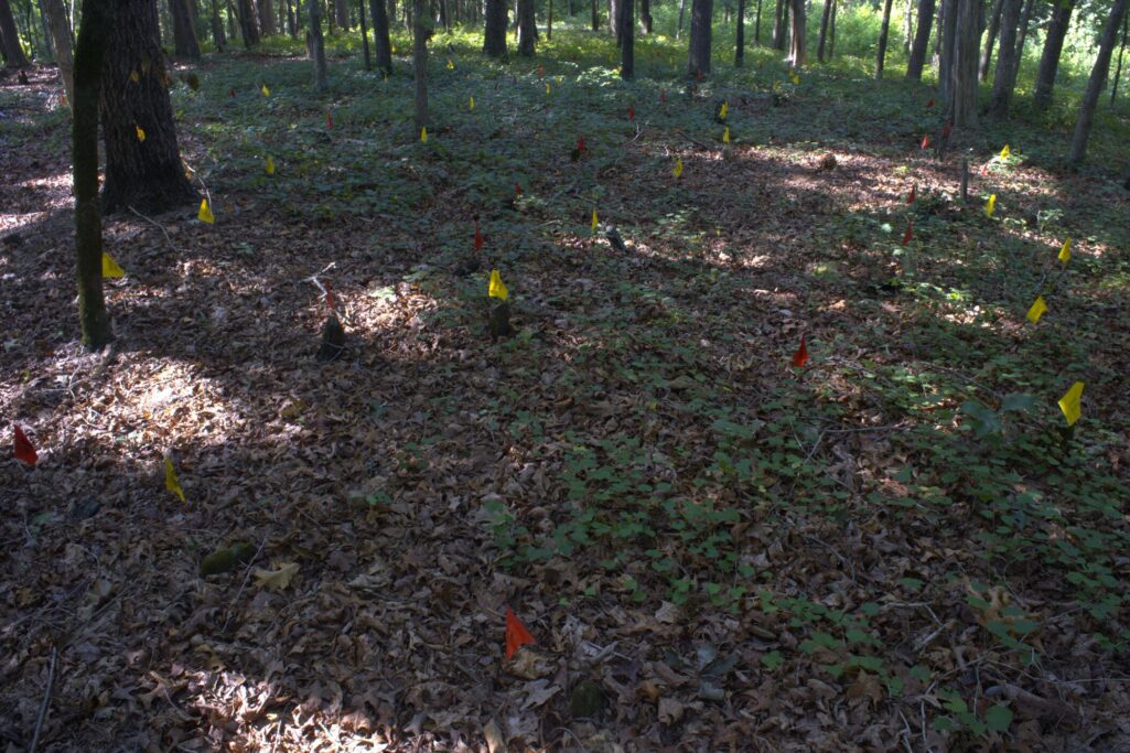Commerce City Council mulls relocating 200-year-old cemetery for business development