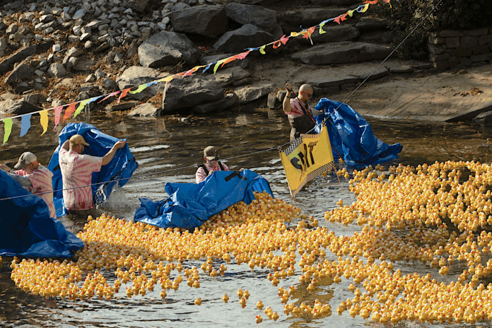 Family Promise of White and Habersham duck race