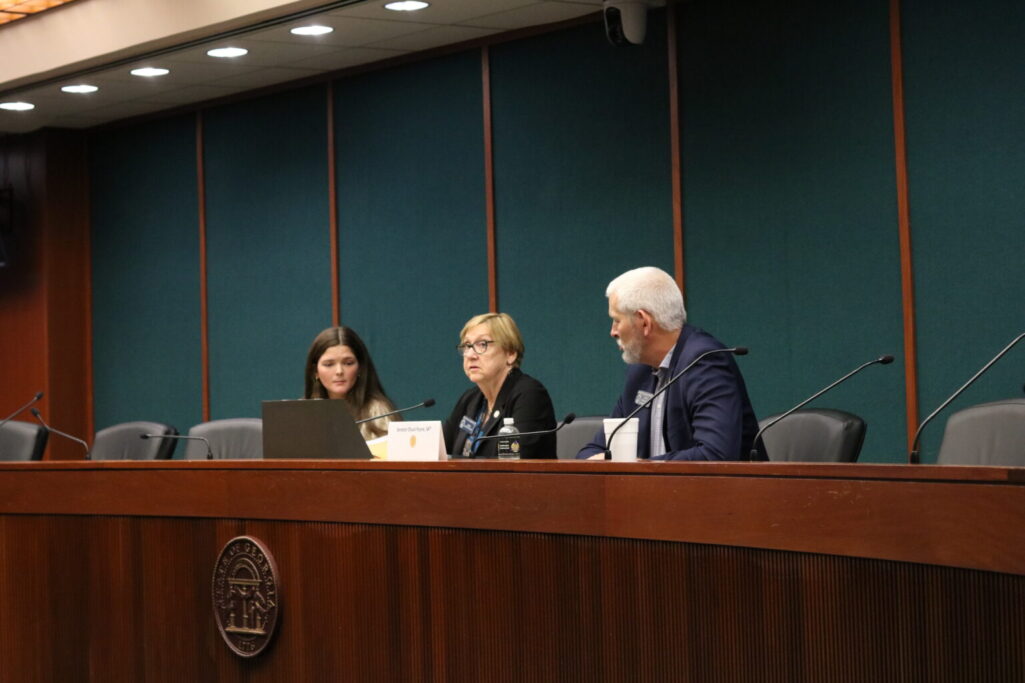 Georgia lawmakers explore ways to ease transition as former foster children become adults