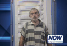 booking photo of Tracy Holbrook, 58, of Carnesville