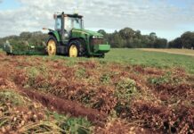 USDA sets ‘bridge payment’ amounts as farmers wait for long-term solutions